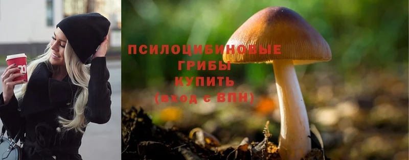 Псилоцибиновые грибы Magic Shrooms  магазин    Баксан 